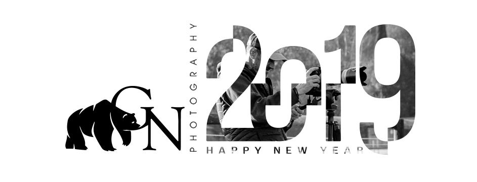 Bonne année