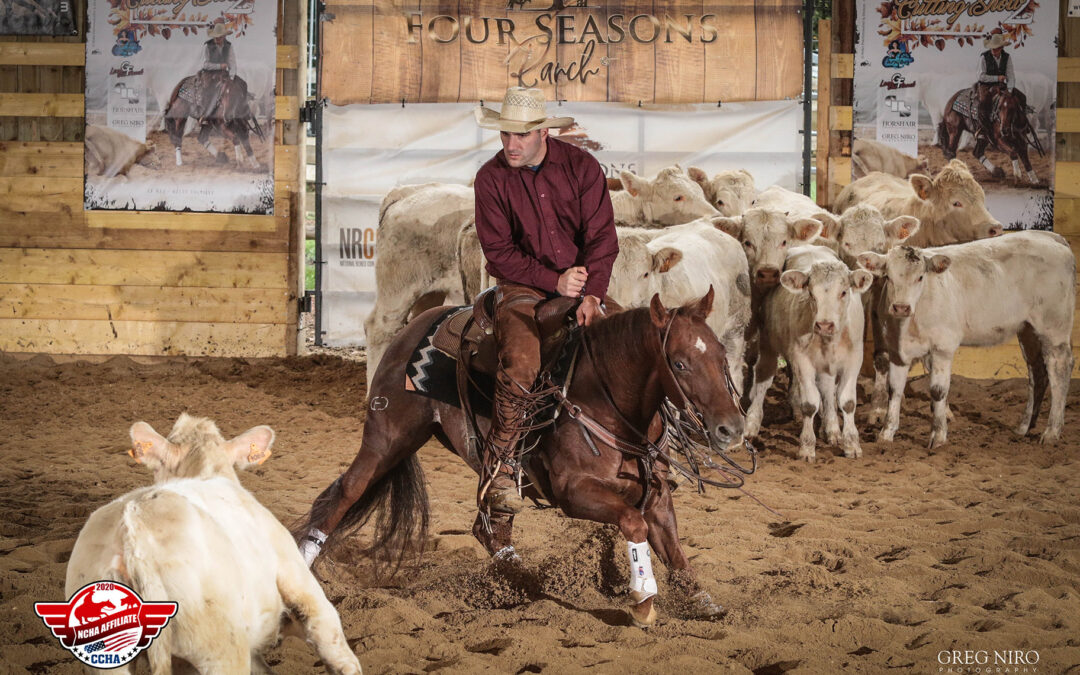 Concours de Cutting – équitation western