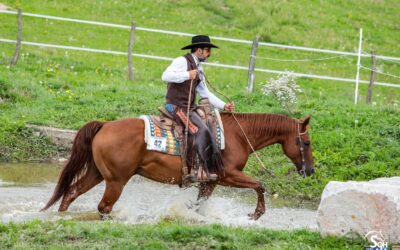 Championnats de France FFE Equitation Western 2022