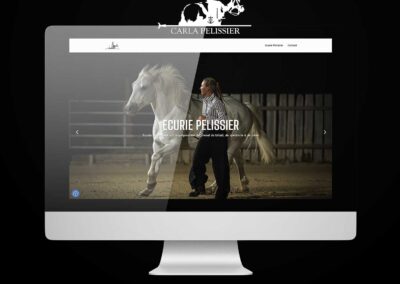 conception site web graphisme