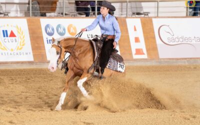 Horse Academy Club – 3 Nations Show