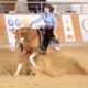 Horse Academy Club – 3 Nations Show