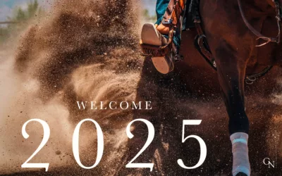 Bonne année 2025