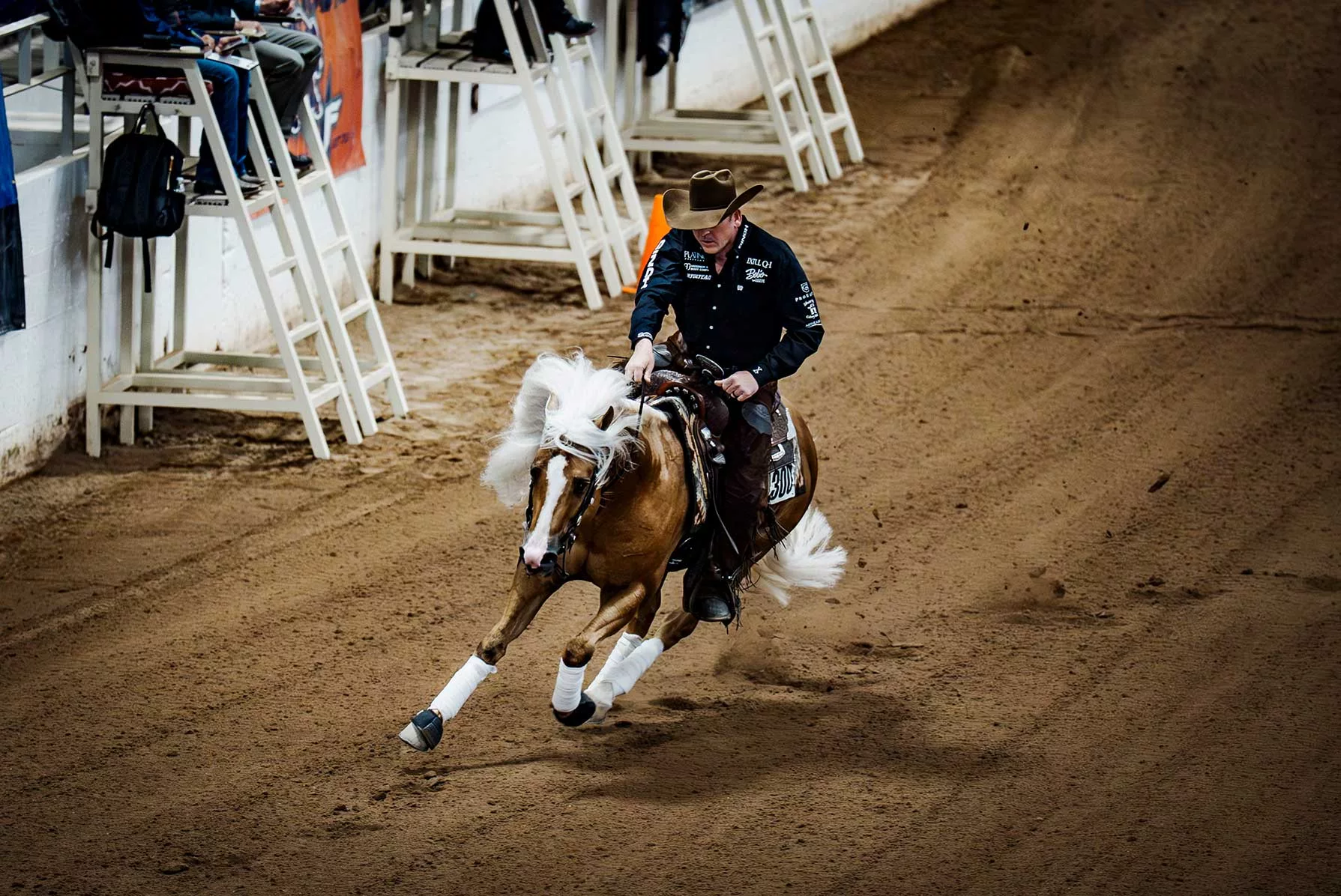 THE LAST COWBOY, cactus reining classic