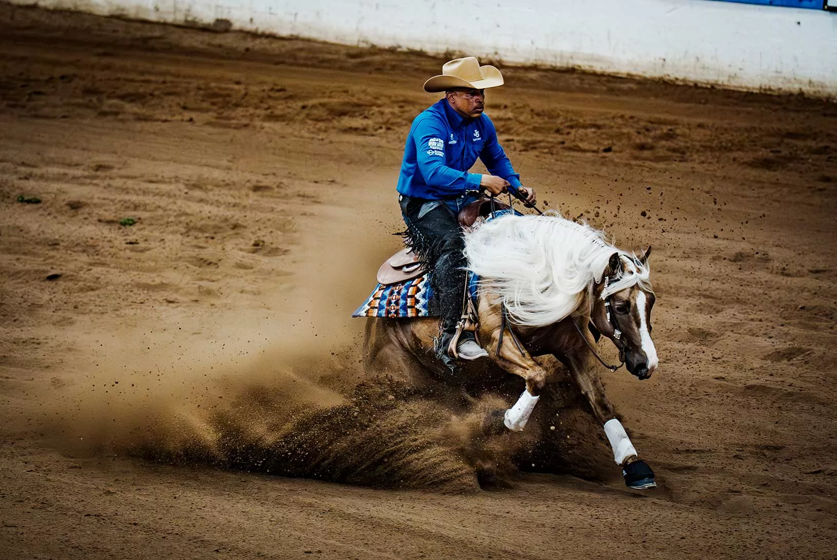 THE LAST COWBOY, cactus reining classic