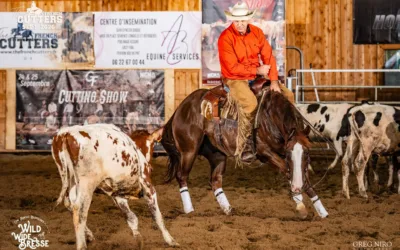 THE FRENCH CUTTERS – FUTURITY – CUTTING HORSES