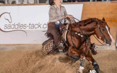 Nrha Switzerland Fall Slide – Reining