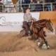 Nrha Switzerland Fall Slide – Reining
